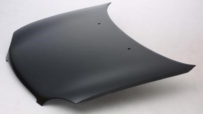 Opel 11 60 247 Hood 1160247: Buy near me in Poland at 2407.PL - Good price!
