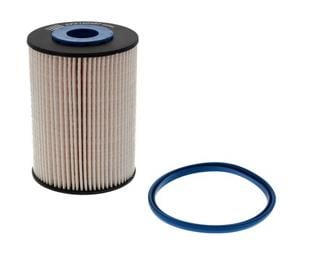 Champion CFF100487 Fuel filter CFF100487: Buy near me in Poland at 2407.PL - Good price!