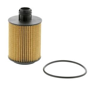 Champion COF100606E Oil Filter COF100606E: Buy near me in Poland at 2407.PL - Good price!