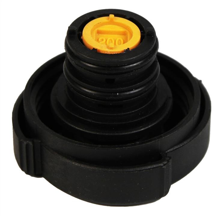 Vernet RC0035 Radiator caps RC0035: Buy near me at 2407.PL in Poland at an Affordable price!