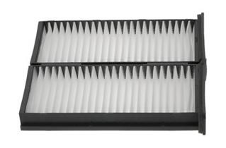 Champion CCF0225 Filter, interior air CCF0225: Buy near me at 2407.PL in Poland at an Affordable price!