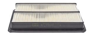 Champion CAF101029P Air filter CAF101029P: Buy near me in Poland at 2407.PL - Good price!