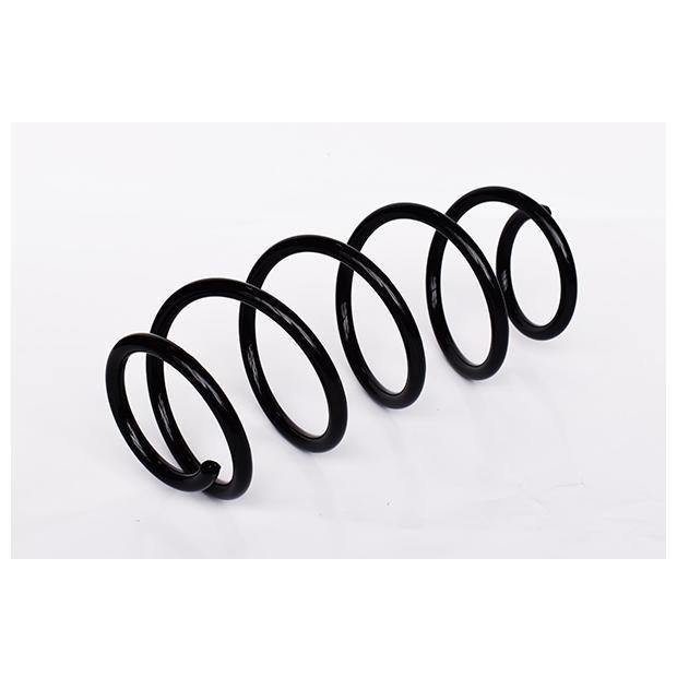 ASAM 73799 Suspension spring front 73799: Buy near me in Poland at 2407.PL - Good price!