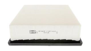 CAF100612P Champion Air filter
