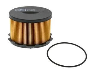 Champion CFF100250 Fuel filter CFF100250: Buy near me in Poland at 2407.PL - Good price!