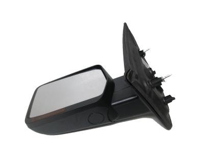 Ford 1 010 244 Outside Mirror 1010244: Buy near me at 2407.PL in Poland at an Affordable price!