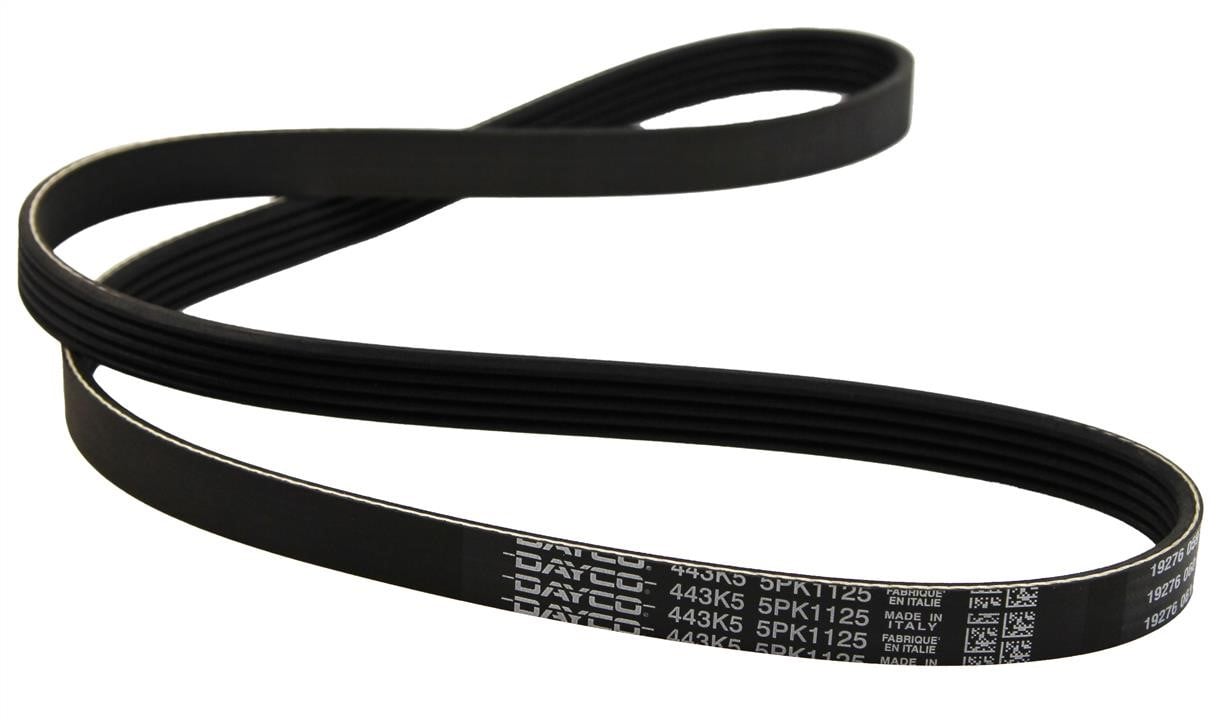 Aux belt Volvo V40: 5PK1125 Dayco Poly-V belt 5PK1125