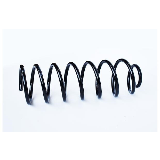 ASAM 73762 Coil Spring 73762: Buy near me in Poland at 2407.PL - Good price!