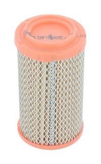 Champion CAF100409C Air filter CAF100409C: Buy near me in Poland at 2407.PL - Good price!