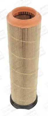 Buy Champion CAF100463C at a low price in Poland!