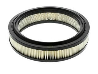 Kaufen Sie Champion CAF100103R zu einem günstigen Preis in Polen!