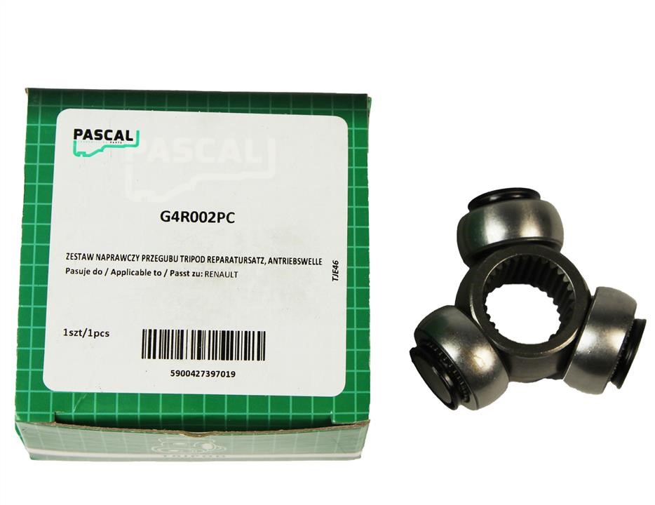 Купить Pascal G4R002PC по низкой цене в Польше!