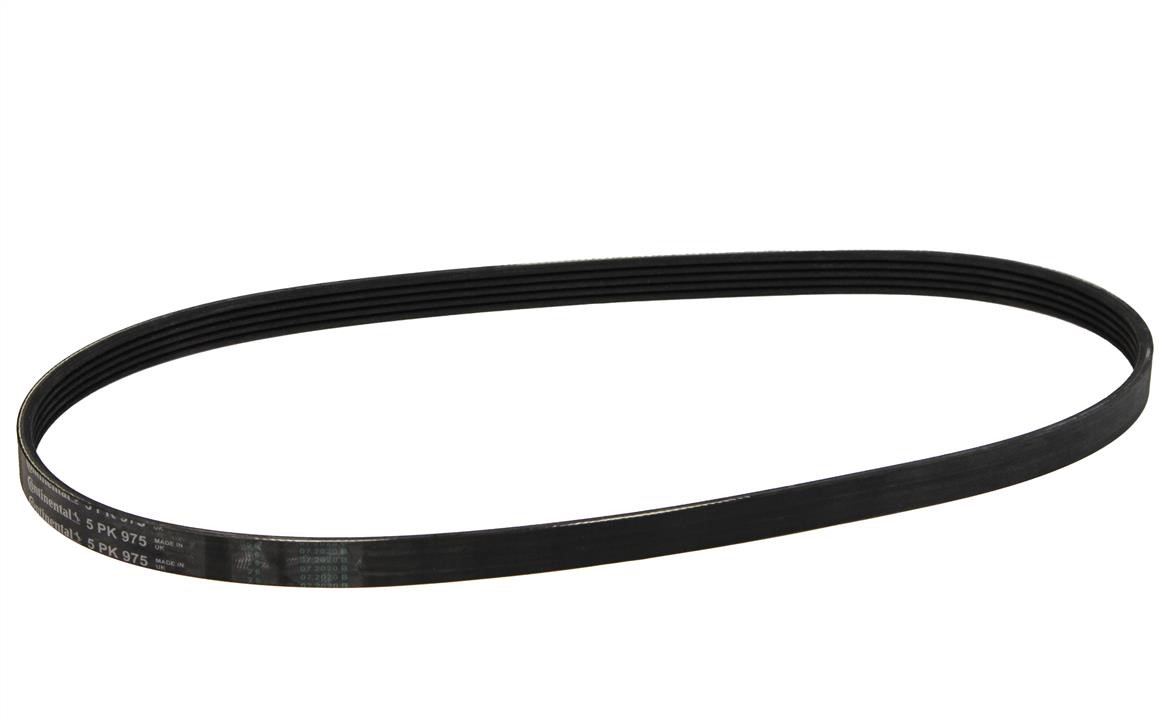 Contitech 5PK975 V-ribbed belt 5PK975 5PK975: Buy near me in Poland at 2407.PL - Good price!