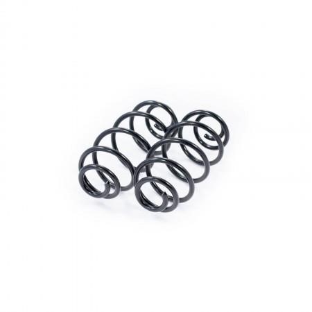 Febest 2408-003R-KIT Rear suspension spring, set 2pcs. 2408003RKIT: Buy near me in Poland at 2407.PL - Good price!