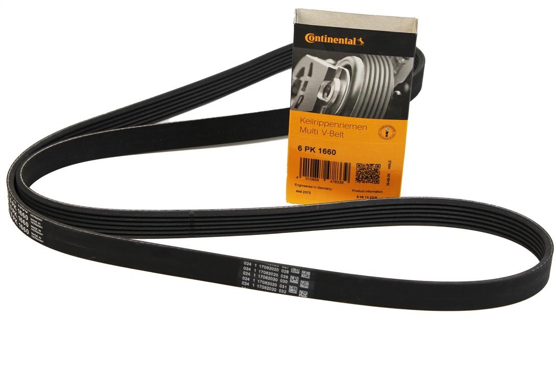 Kaufen Sie Contitech 6PK1660 zum guten Preis bei 2407.PL!