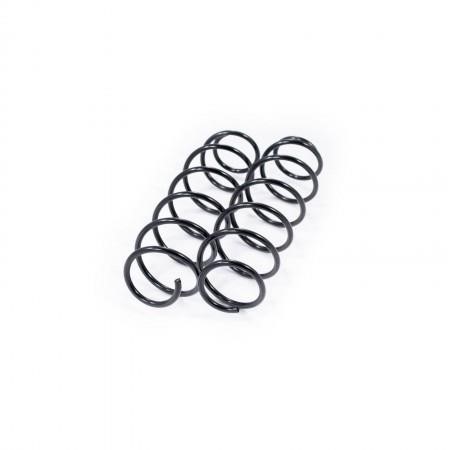 Febest 2808-006F-KIT Front suspension spring, set 2pcs. 2808006FKIT: Buy near me in Poland at 2407.PL - Good price!