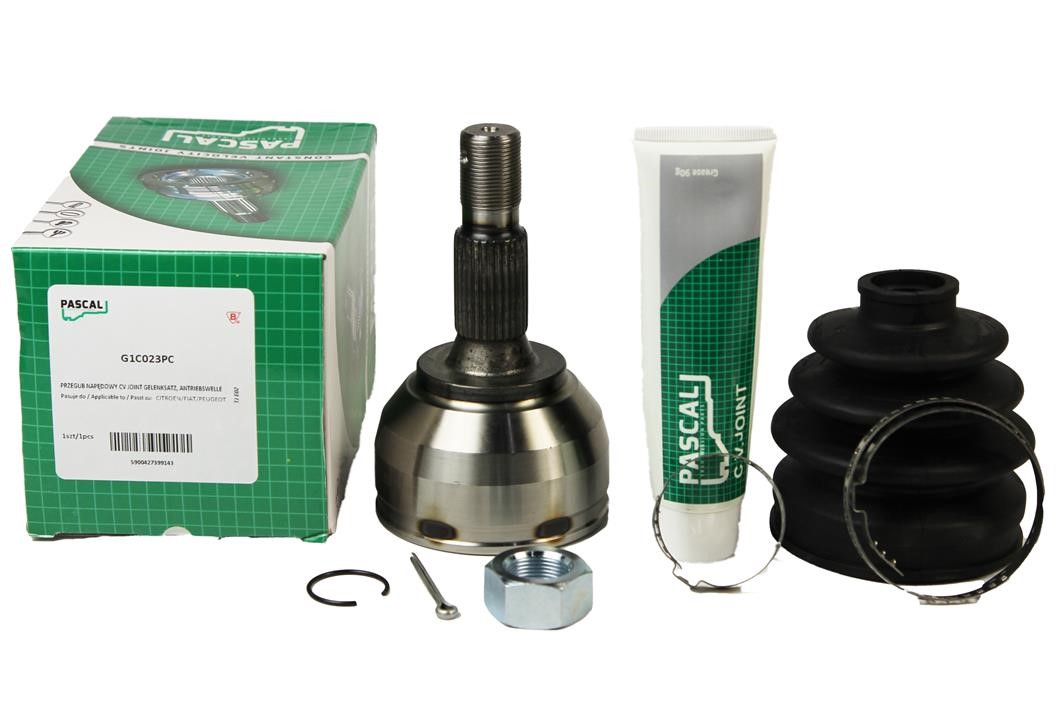 Buy Pascal G1C023PC at a low price in Poland!