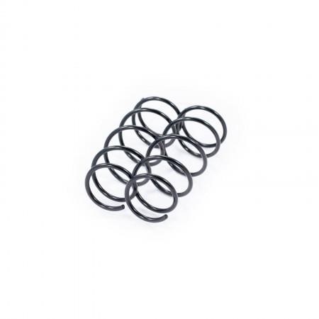 Febest 2408-008F-KIT Front suspension spring, set 2pcs. 2408008FKIT: Buy near me in Poland at 2407.PL - Good price!