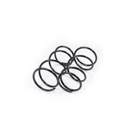 Febest 0208-001F-KIT Front suspension spring, set 2pcs. 0208001FKIT: Buy near me in Poland at 2407.PL - Good price!