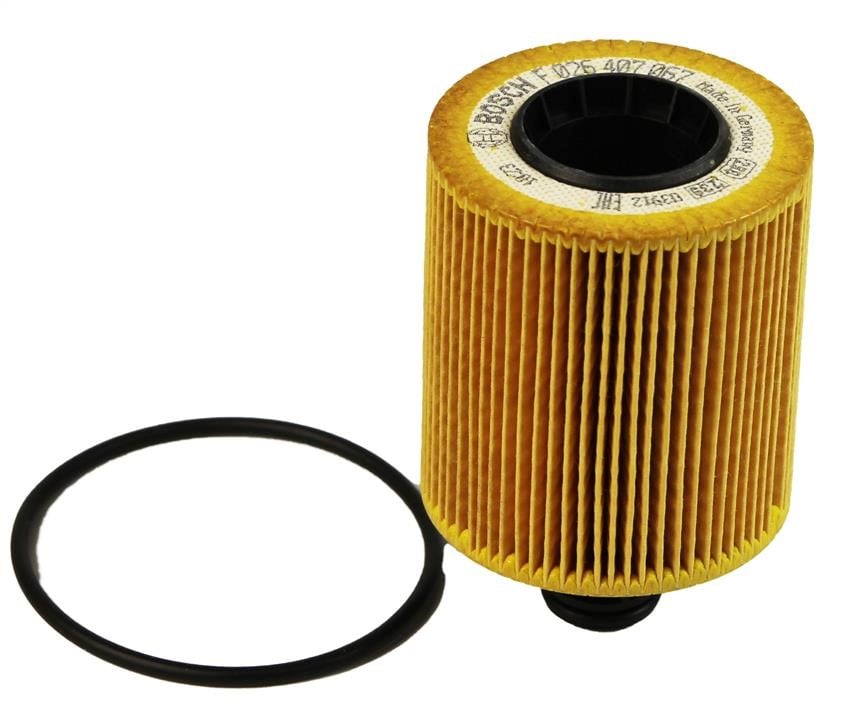 Bosch F 026 407 067 Oil Filter F026407067: Buy near me in Poland at 2407.PL - Good price!