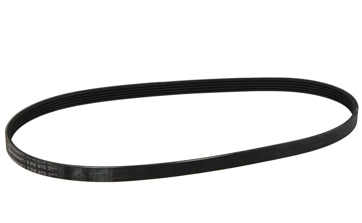 Alternator belt Fiat Tempra S.W.: 5PK975 Contitech Poly-V belt 5PK975
