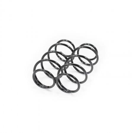 Febest 1808-011F-KIT Front suspension spring, set 2pcs. 1808011FKIT: Buy near me at 2407.PL in Poland at an Affordable price!