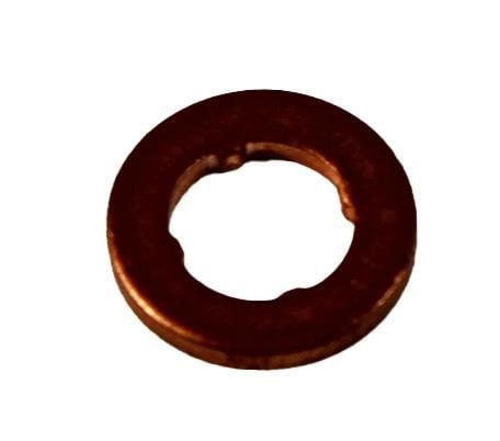 Bosch F 00V P01 004 Fuel injector gasket F00VP01004: Buy near me in Poland at 2407.PL - Good price!