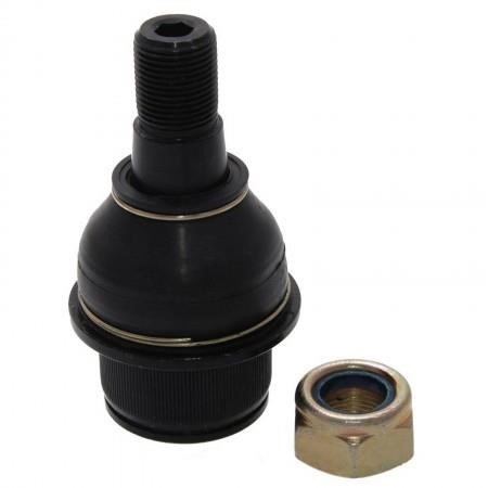Febest 1620-209 Ball joint 1620209: Buy near me in Poland at 2407.PL - Good price!
