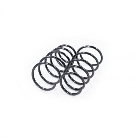 Febest 2408-013F-KIT Front suspension spring, set 2pcs. 2408013FKIT: Buy near me in Poland at 2407.PL - Good price!