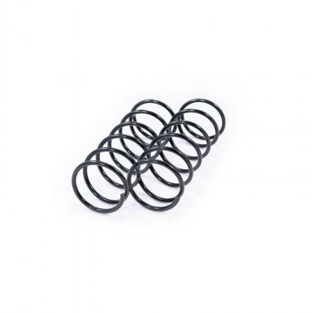 Febest 2508-006F-KIT Front suspension spring, set 2pcs. 2508006FKIT: Buy near me in Poland at 2407.PL - Good price!