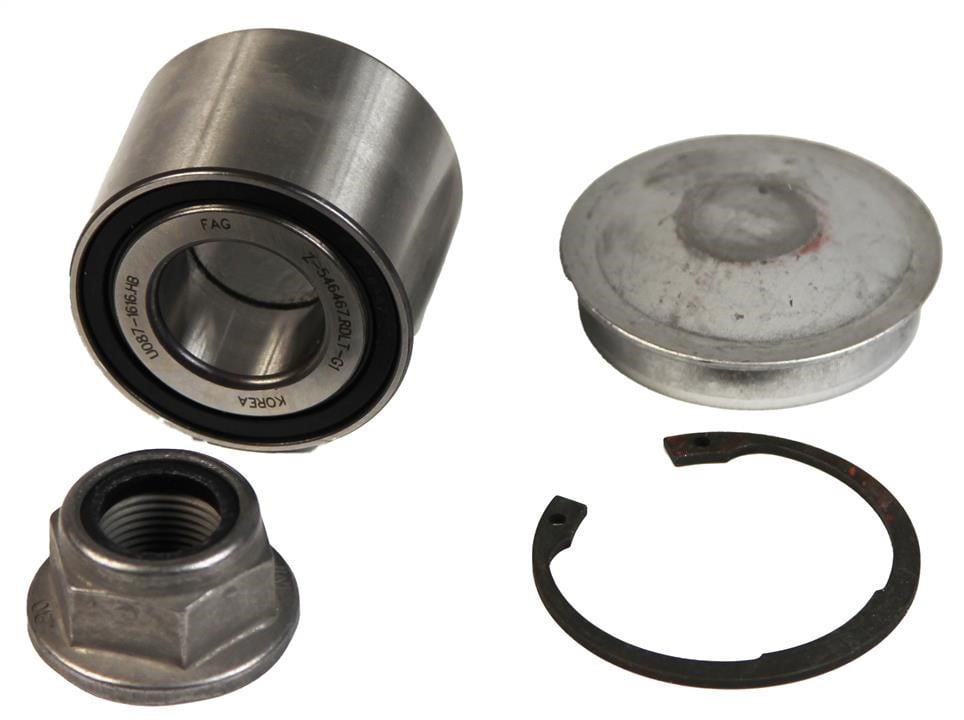 713630300 FAG Rear Wheel Bearing Kit