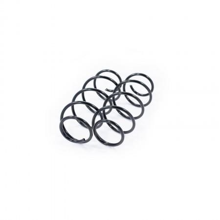 Febest 2808-005F-KIT Front suspension spring, set 2pcs. 2808005FKIT: Buy near me in Poland at 2407.PL - Good price!