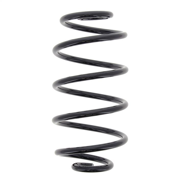 KYB (Kayaba) RX6232 Coil Spring RX6232: Buy near me in Poland at 2407.PL - Good price!