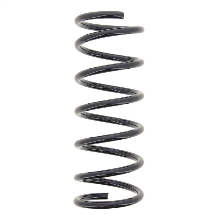 RA6659 KYB (Kayaba) Rear coil spring