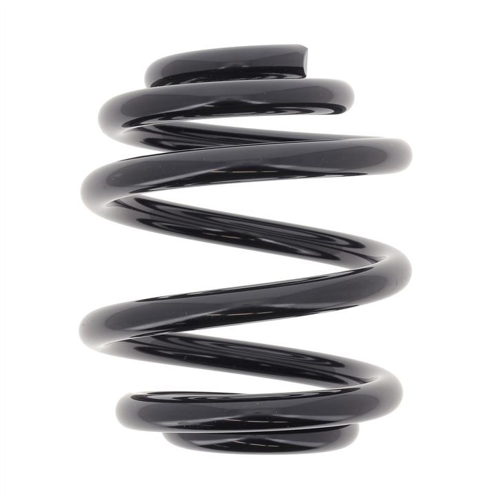 KYB (Kayaba) RX6743 Coil Spring RX6743: Buy near me in Poland at 2407.PL - Good price!
