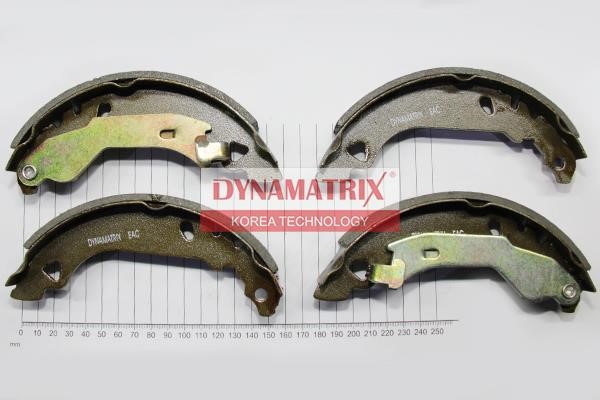 Dynamatrix DBS263 Brake shoe set DBS263: Buy near me in Poland at 2407.PL - Good price!