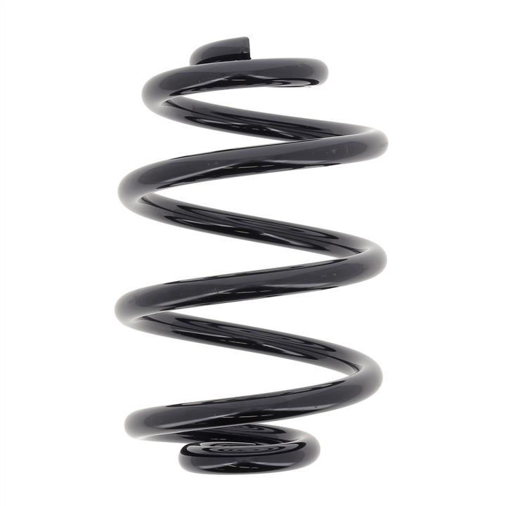 KYB (Kayaba) RX5263 Coil Spring RX5263: Buy near me in Poland at 2407.PL - Good price!