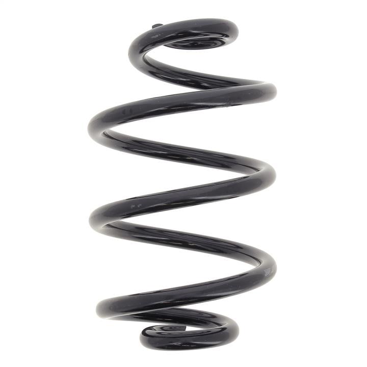 KYB (Kayaba) RX5552 Coil Spring RX5552: Buy near me in Poland at 2407.PL - Good price!