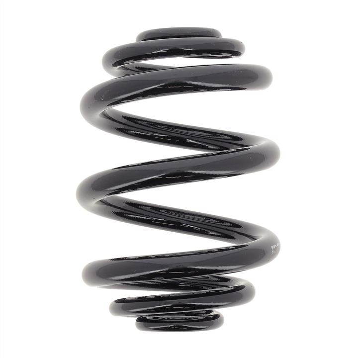 KYB (Kayaba) RJ6205 Coil Spring RJ6205: Buy near me at 2407.PL in Poland at an Affordable price!