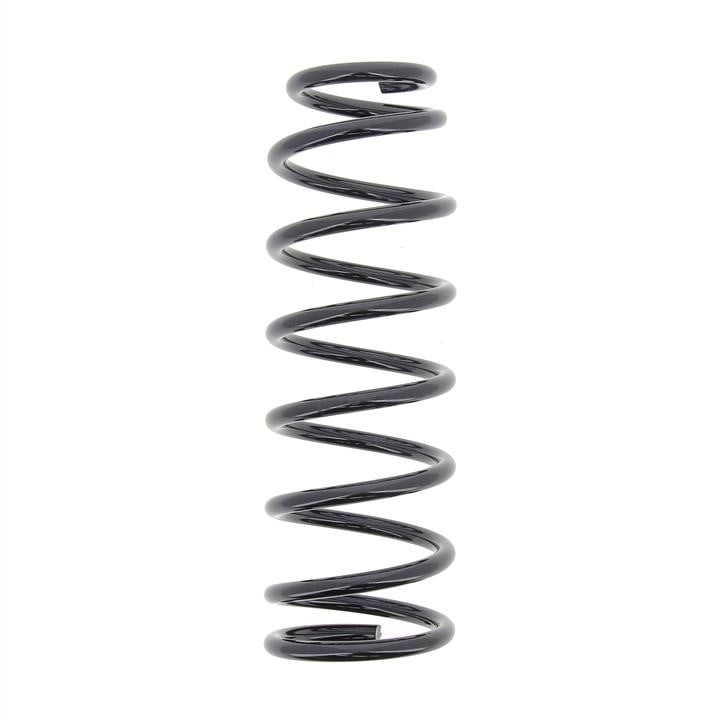 RG6548 KYB (Kayaba) Rear coil spring