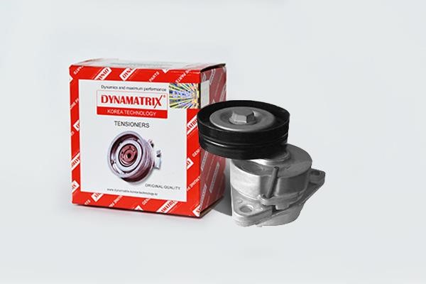 Dynamatrix DT35009 Bypass roller DT35009: Buy near me in Poland at 2407.PL - Good price!