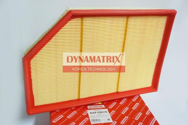 Dynamatrix DAF1591/9 Filter DAF15919: Kaufen Sie zu einem guten Preis in Polen bei 2407.PL!