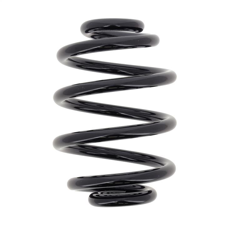 RX6197 KYB (Kayaba) Rear coil spring