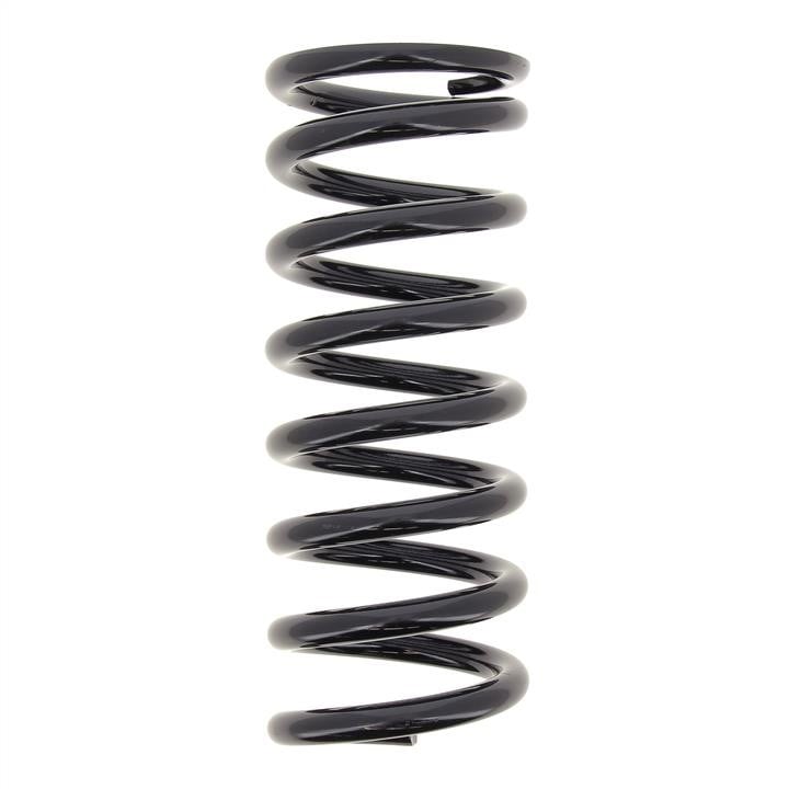 KYB (Kayaba) RD5943 Coil Spring RD5943: Buy near me in Poland at 2407.PL - Good price!