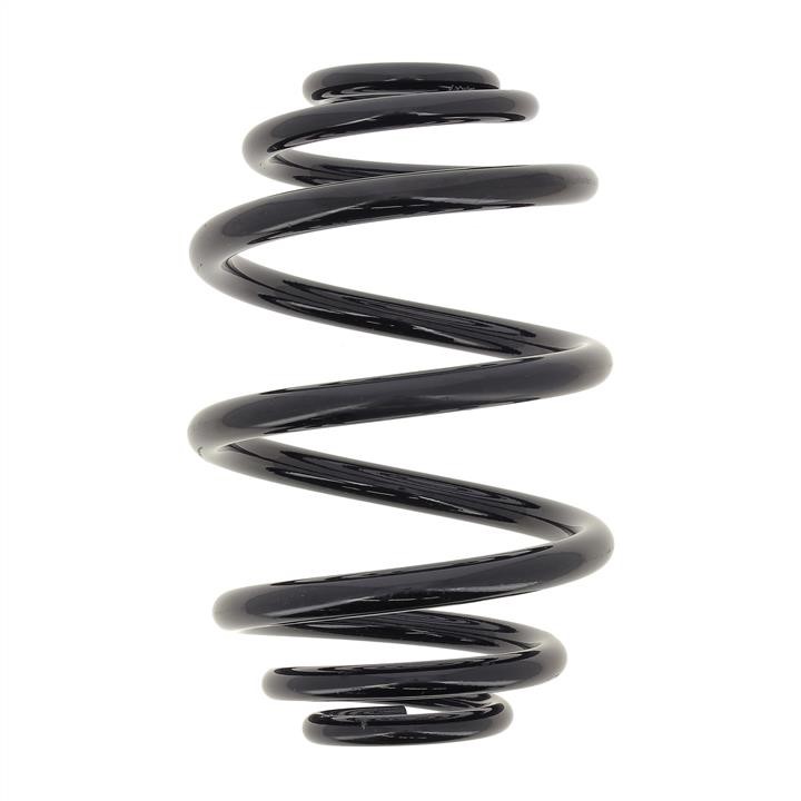 KYB (Kayaba) RJ5060 Coil Spring RJ5060: Buy near me in Poland at 2407.PL - Good price!