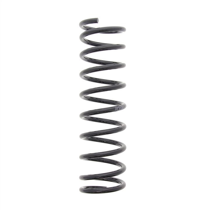 RA5569 KYB (Kayaba) Rear coil spring