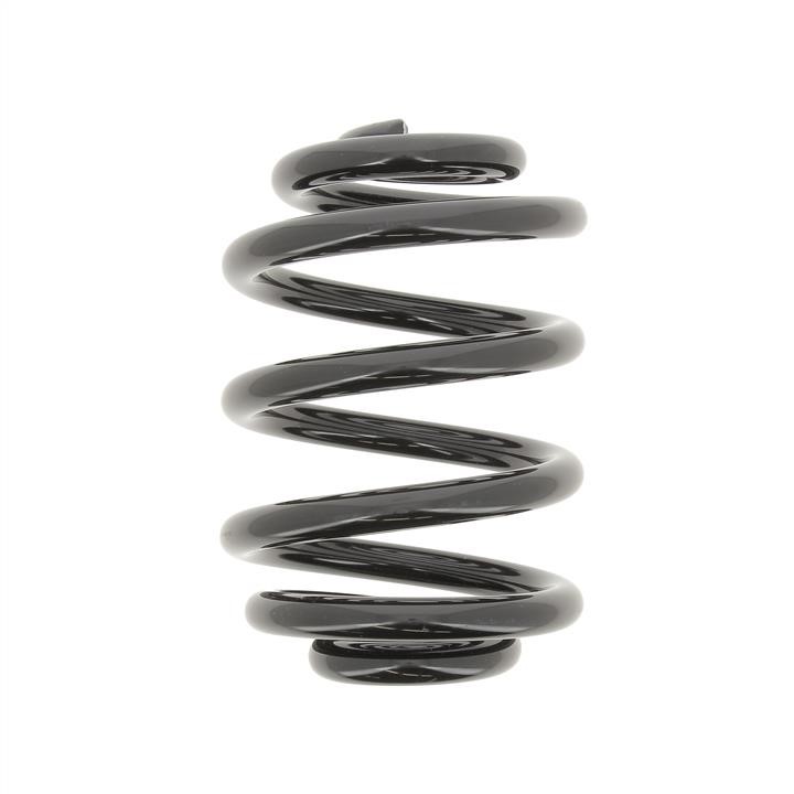 KYB (Kayaba) RX6205 Coil Spring RX6205: Buy near me in Poland at 2407.PL - Good price!