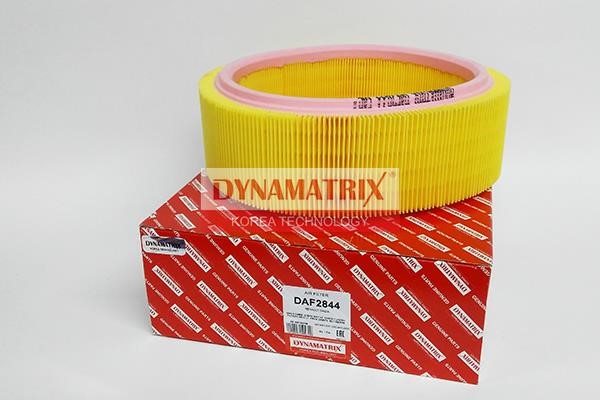 Dynamatrix DAF2844 Фильтр DAF2844: Отличная цена - Купить в Польше на 2407.PL!