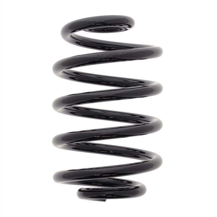 KYB (Kayaba) RX6965 Coil Spring RX6965: Buy near me in Poland at 2407.PL - Good price!