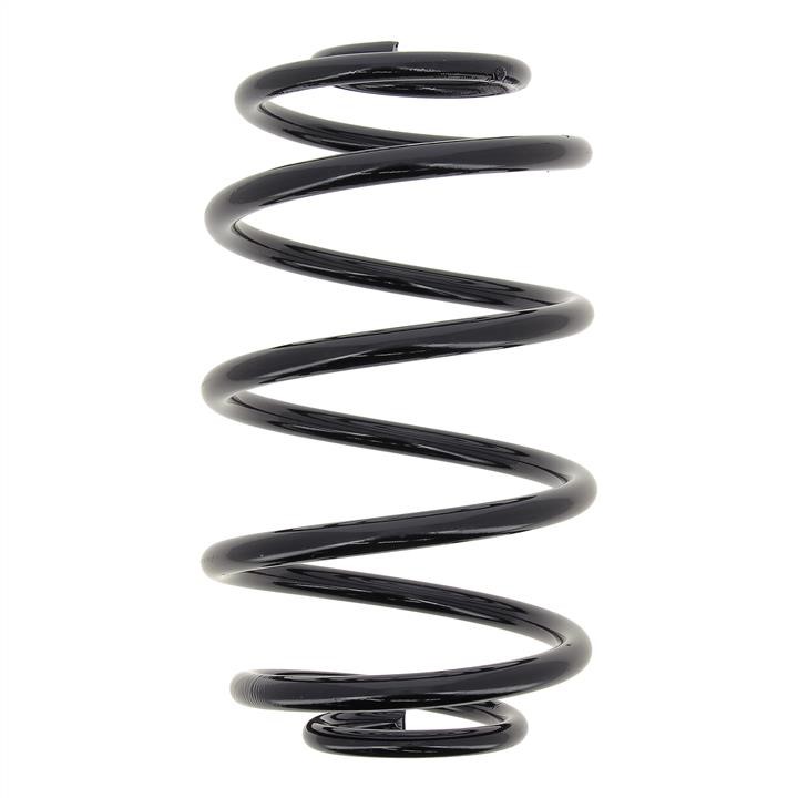 KYB (Kayaba) RJ5272 Coil Spring RJ5272: Buy near me in Poland at 2407.PL - Good price!